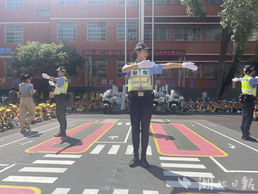 小太阳网活动